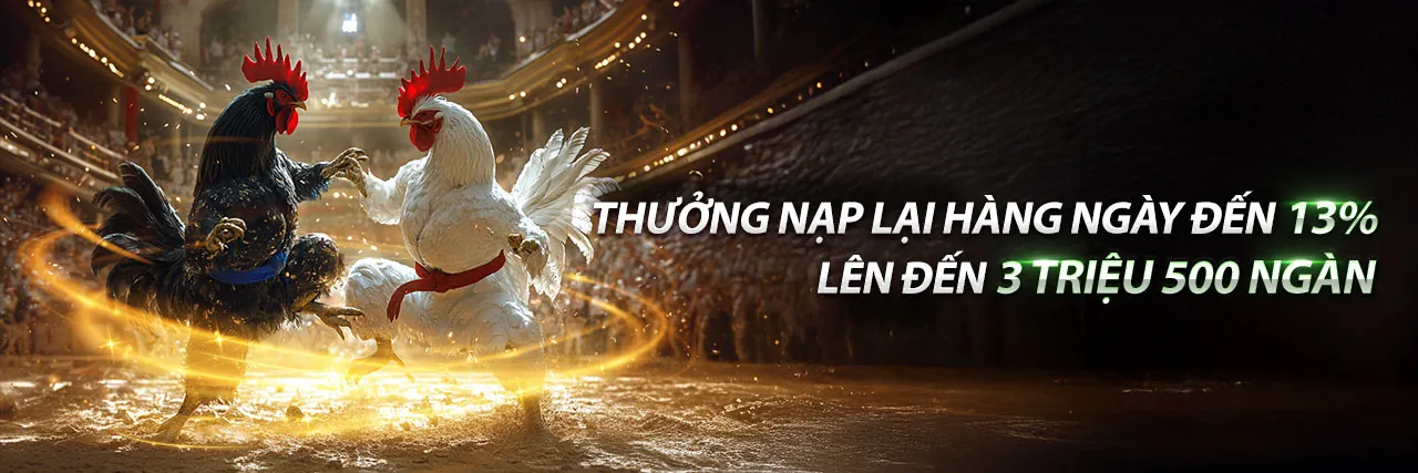 Hình ảnh đá gà kịch tính tại vn888 nhà cái