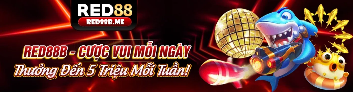 Hình ảnh chính các chương trình khuyến mãi vn888 nhà cái